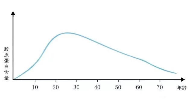 重磅新品丨新年愿望，成真而至